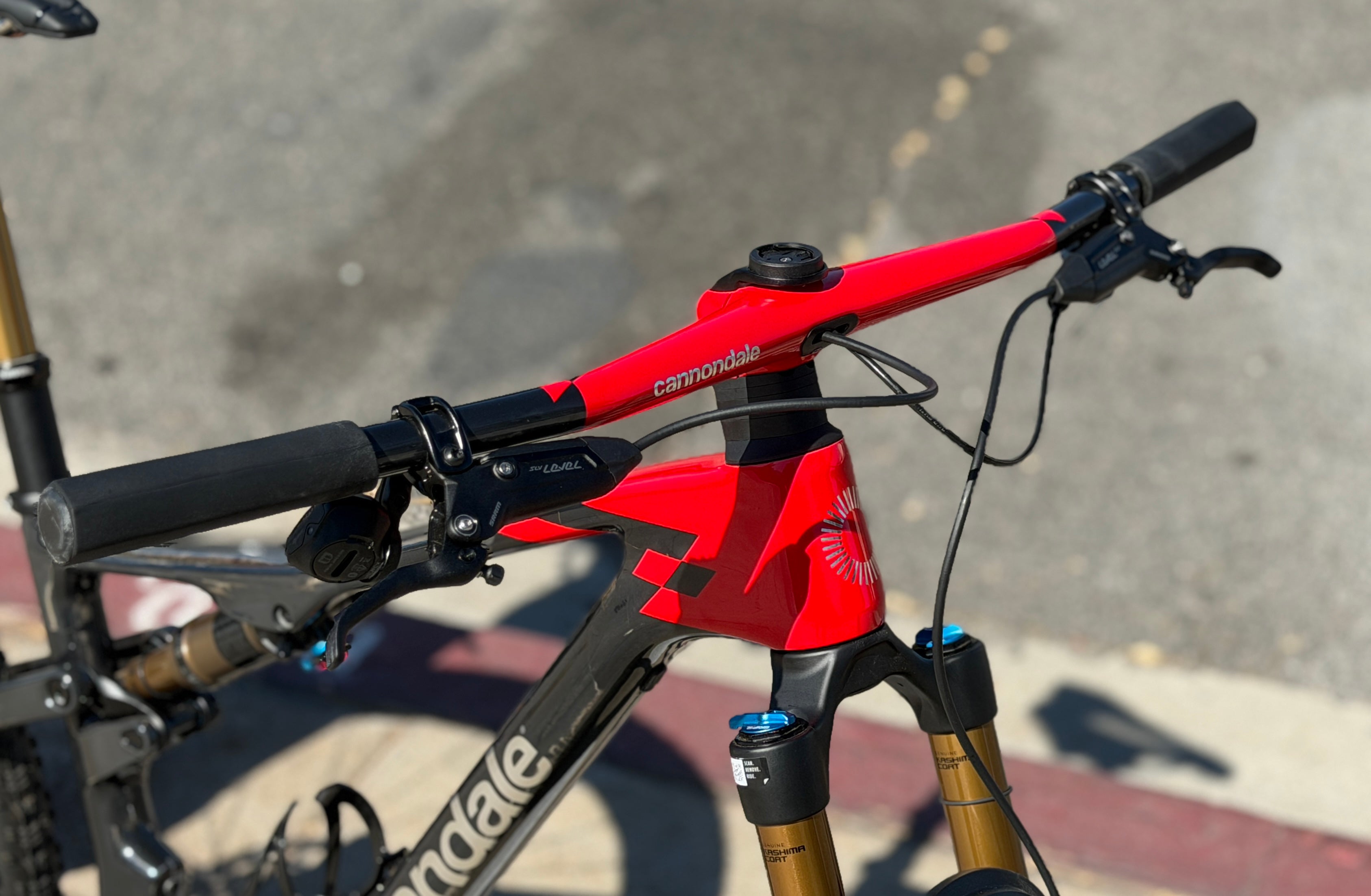 2025 Cannondale Scalpel Carbon 1 - DEMO BIKE