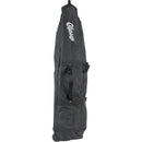 Bike Bag