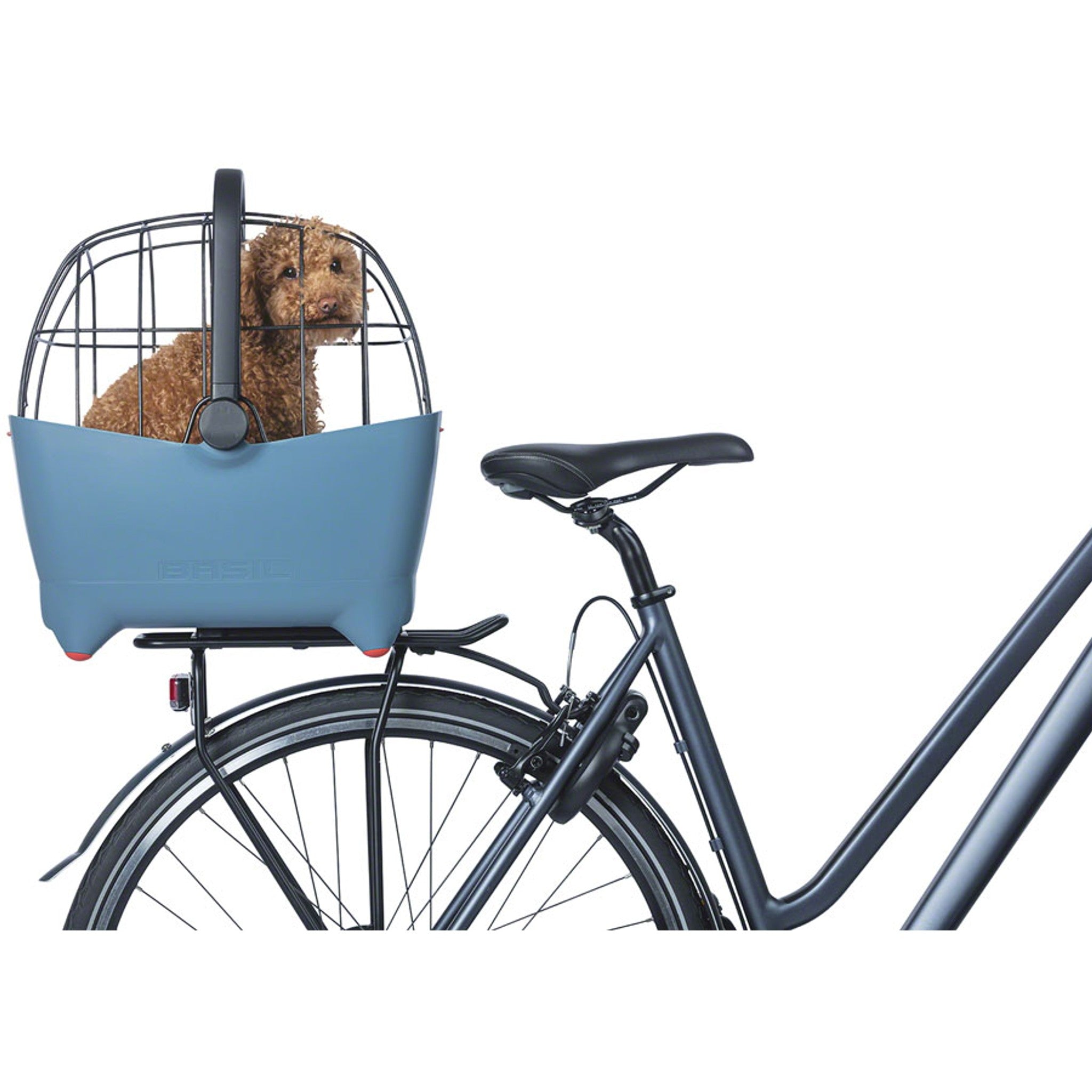 Buddy Dog Basket Space Frame - Black