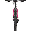 Krampus Bike - Prickly Pear