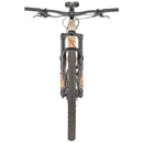 Blackthorn Carbon SLX Bike - 29", Carbon, Tan, Small