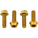Bottle Cage Bolts