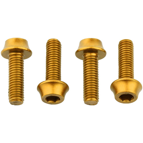 Bottle Cage Bolts