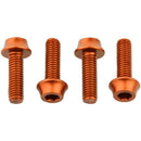 Bottle Cage Bolts