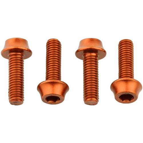 Bottle Cage Bolts