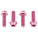Bottle Cage Bolts