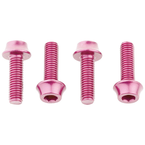 Bottle Cage Bolts