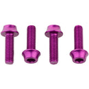 Bottle Cage Bolts