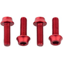 Bottle Cage Bolts
