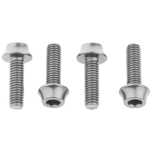 Bottle Cage Bolts