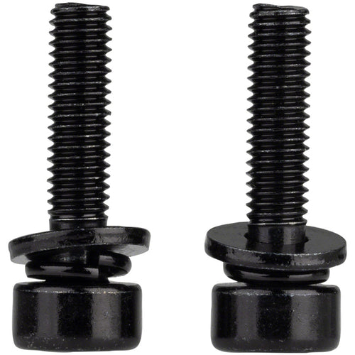 Caliper Mounting Bolts