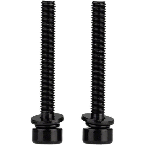Caliper Mounting Bolts