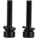 Caliper Mounting Bolts