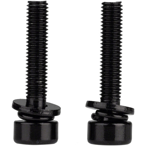 Caliper Mounting Bolts