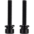 Caliper Mounting Bolts