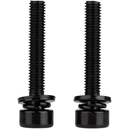Caliper Mounting Bolts
