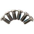 Disc Brake Rotor Torx Bolts - Titanium, T25, 6 pk.