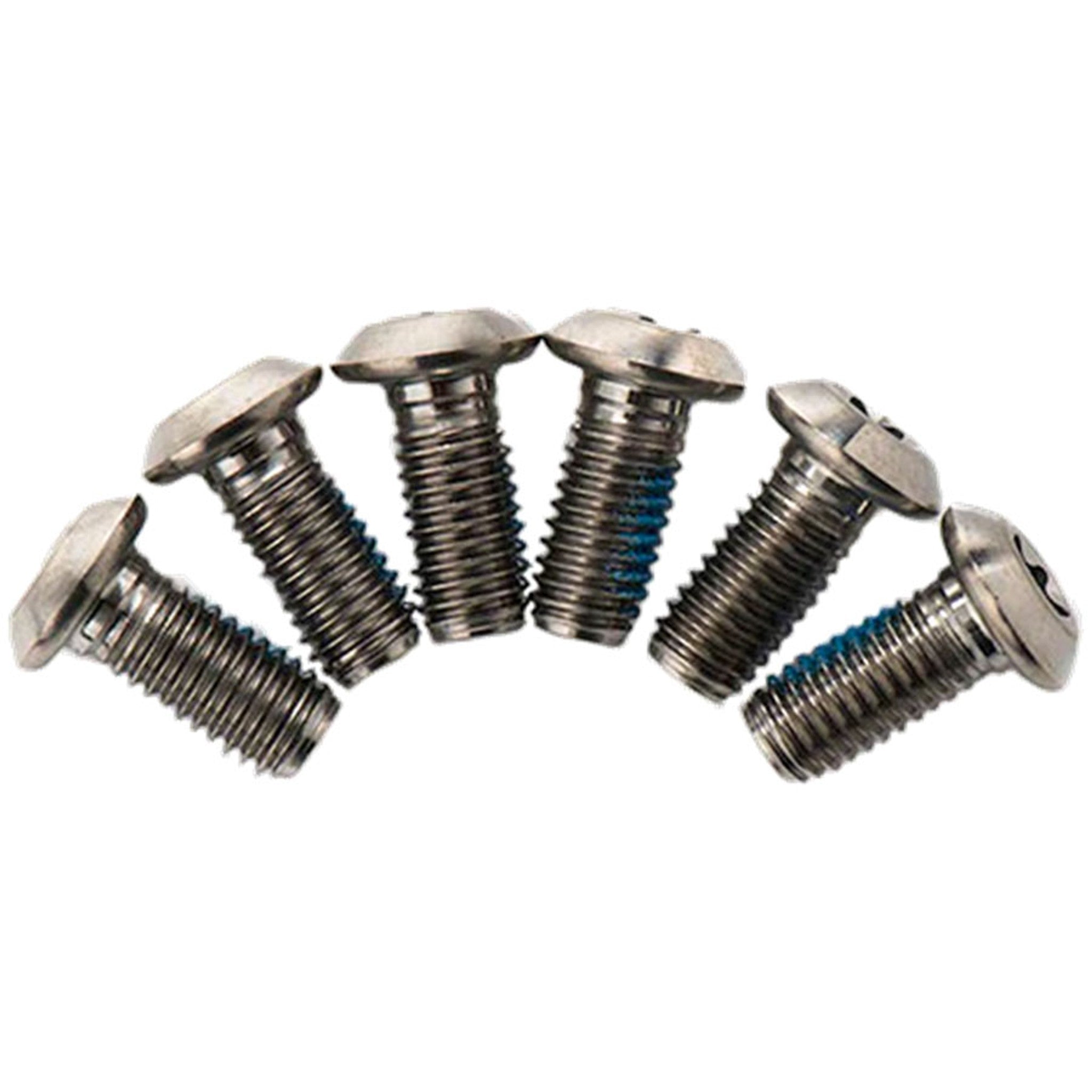 Disc Brake Rotor Torx Bolts - Titanium, T25, 6 pk.