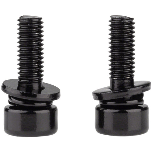 Caliper Mounting Bolts