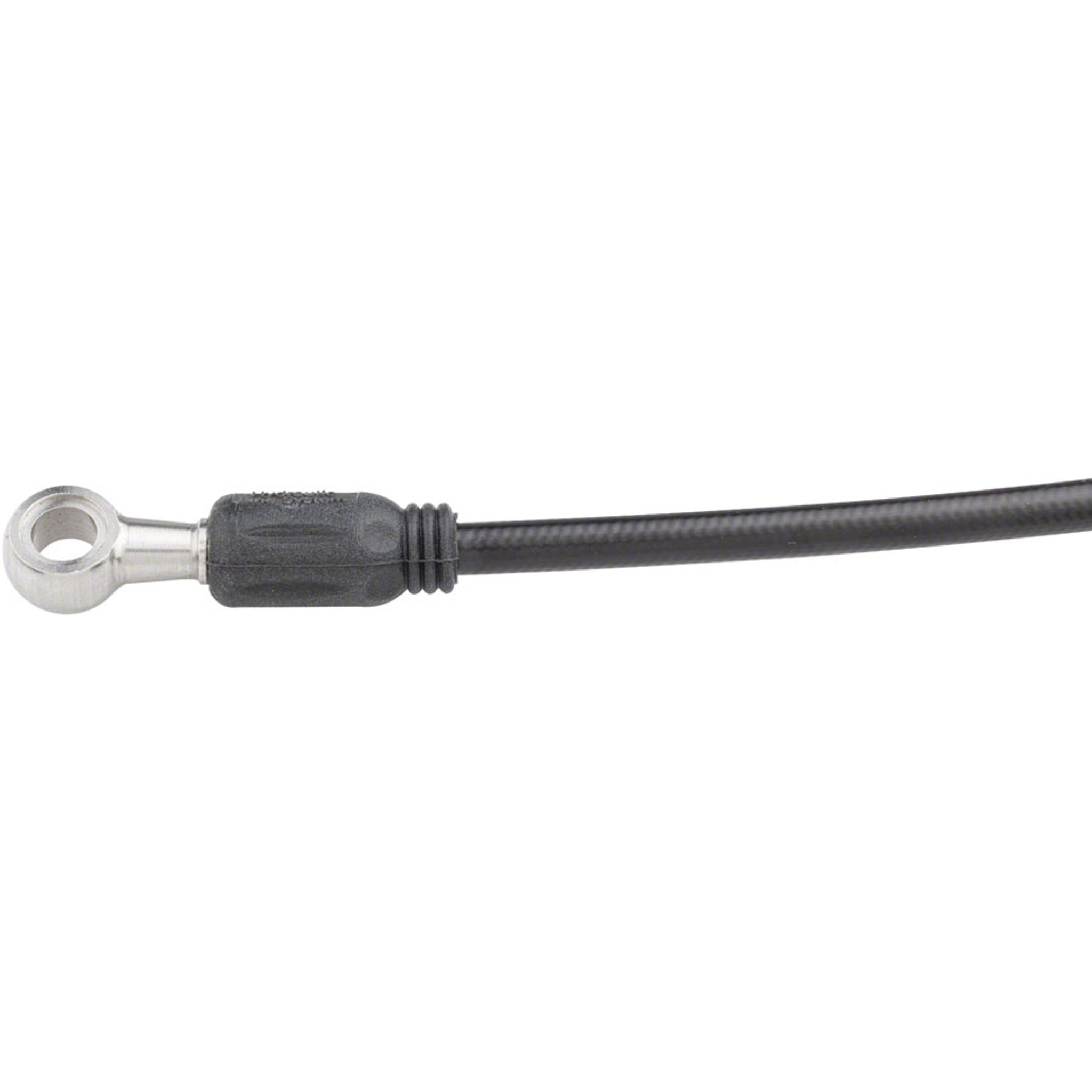 Sport DOT Hydraulic Hose