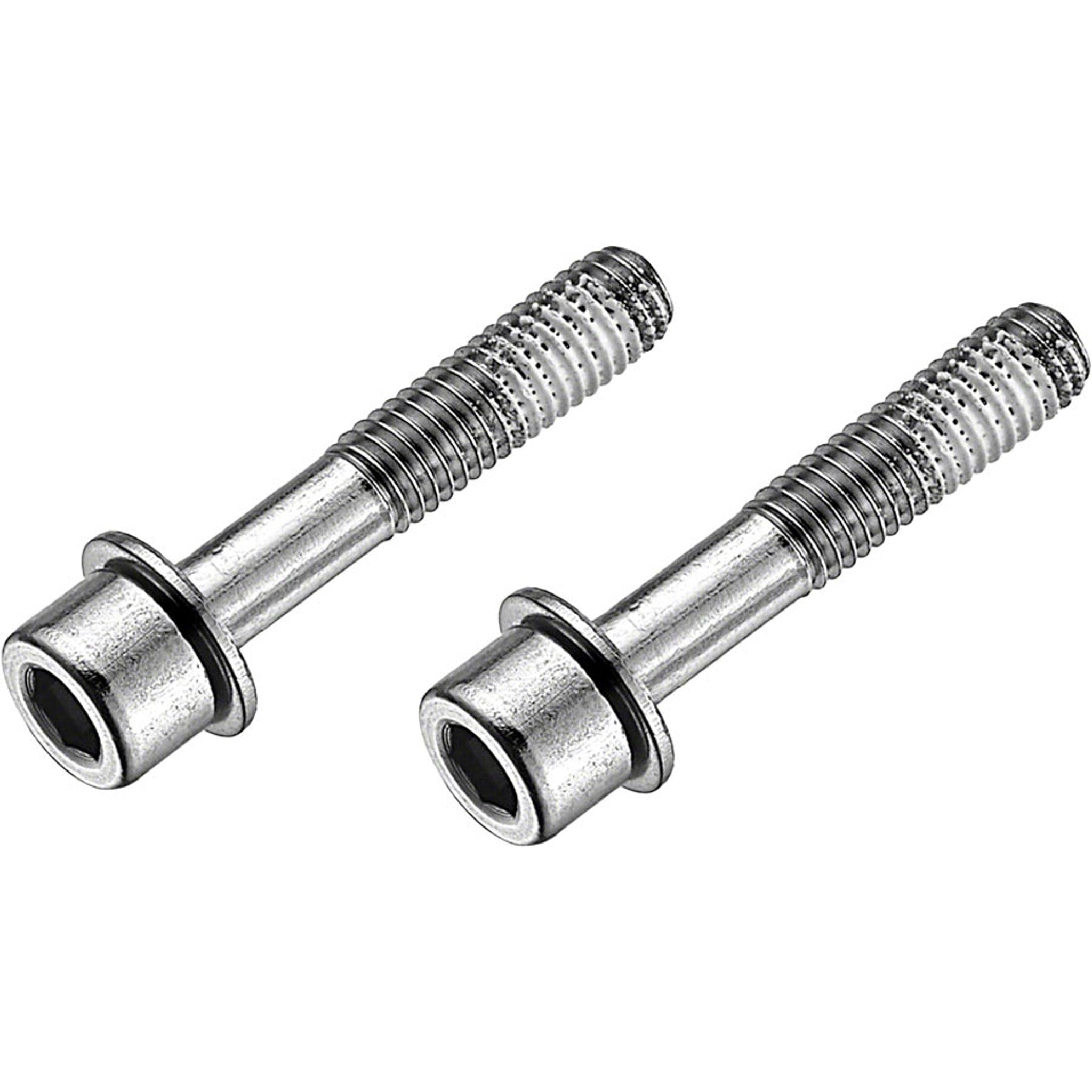 Stainless Flat Mount Disc Brake Caliper Bolts