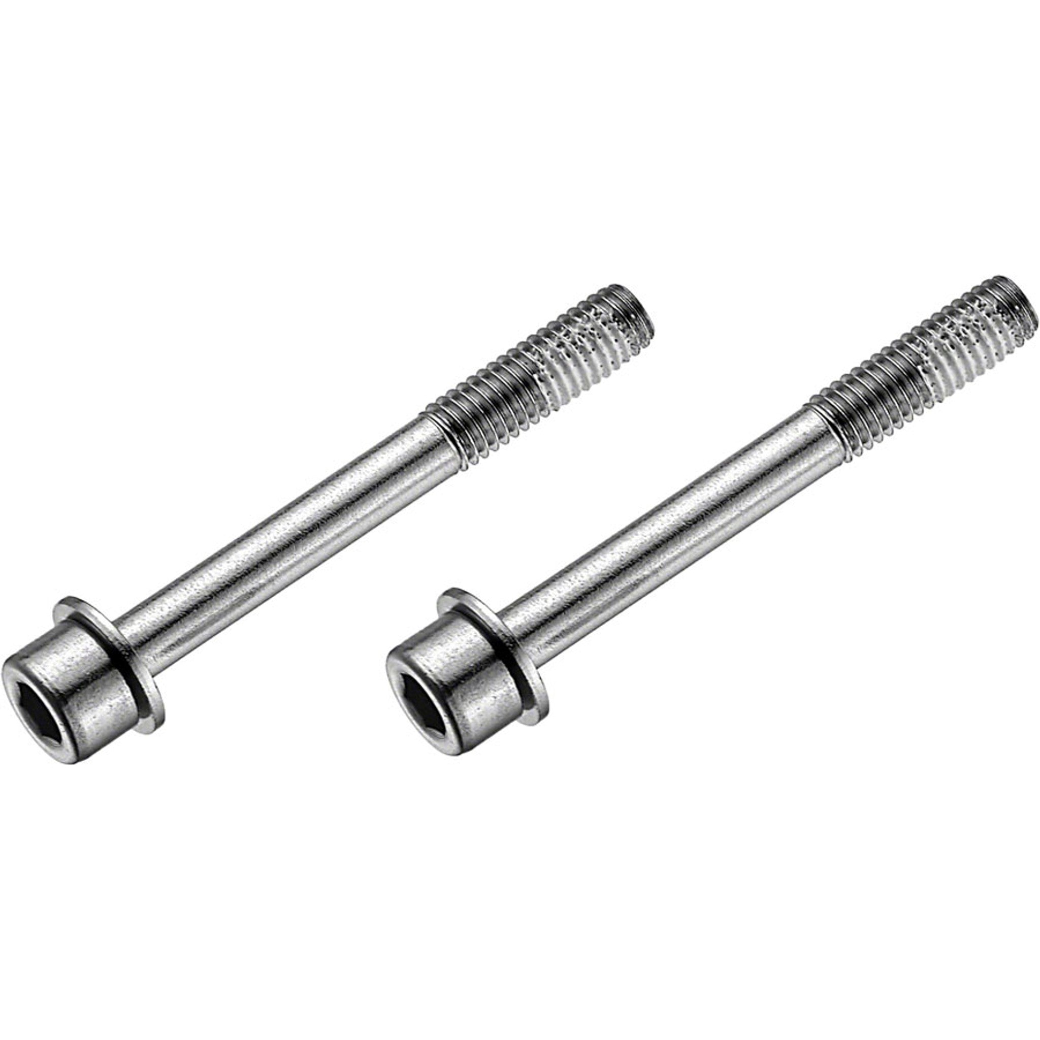 Stainless Flat Mount Disc Brake Caliper Bolts