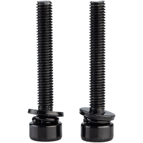 Caliper Mounting Bolts