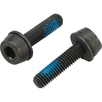 H11 Flat Mount Disc Brake Bolts
