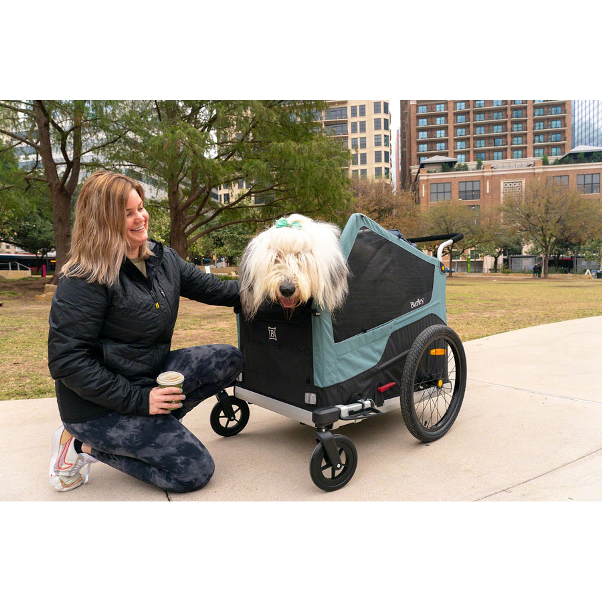 Bark Ranger Pet Trailer