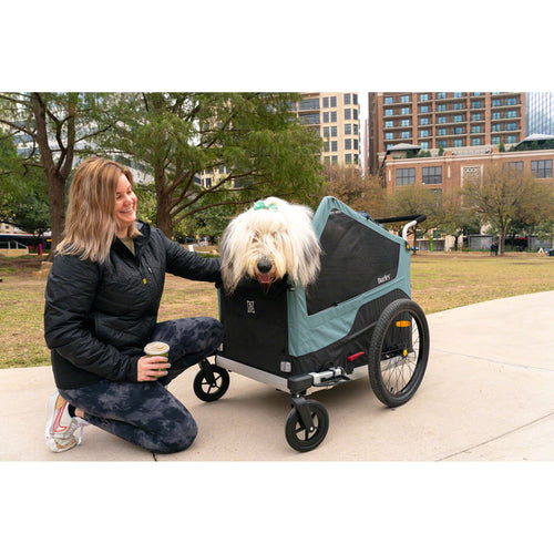 Bark Ranger Pet Trailer