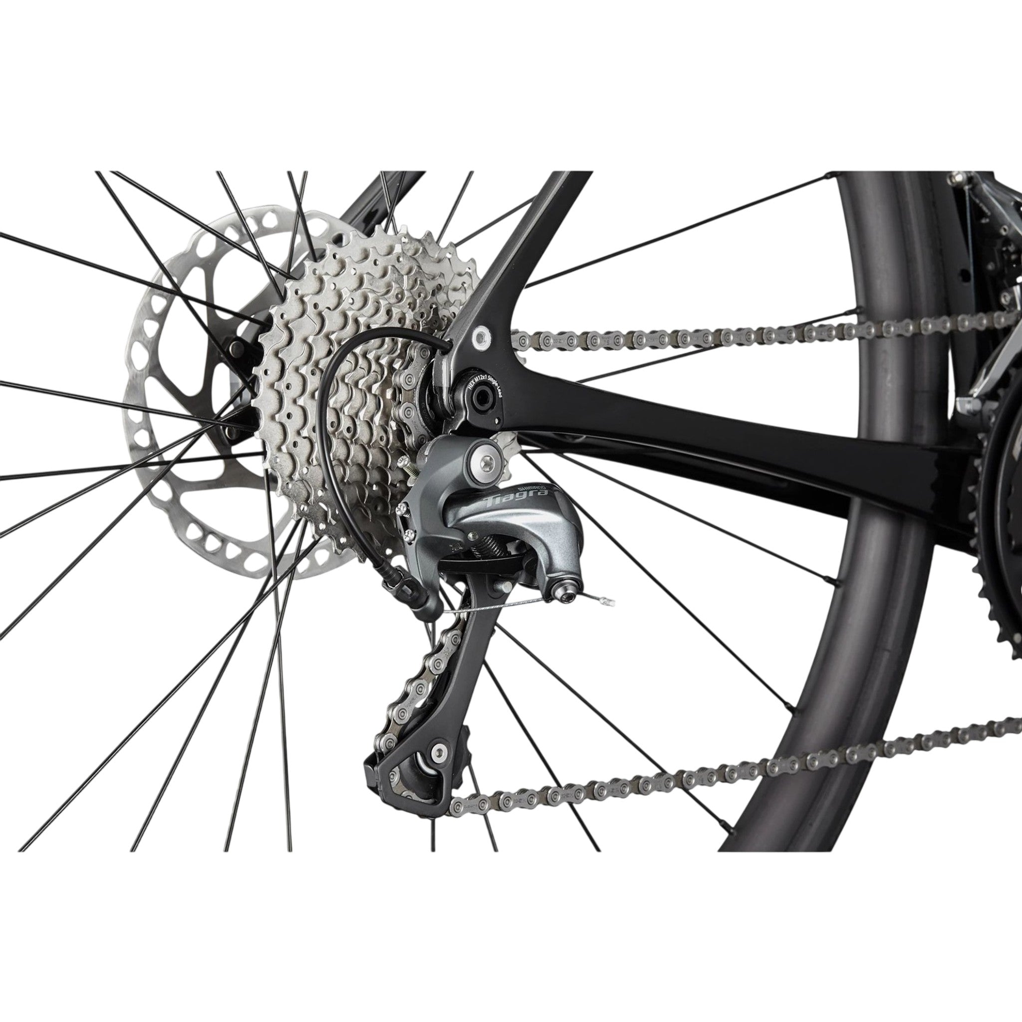 Synapse Carbon 4