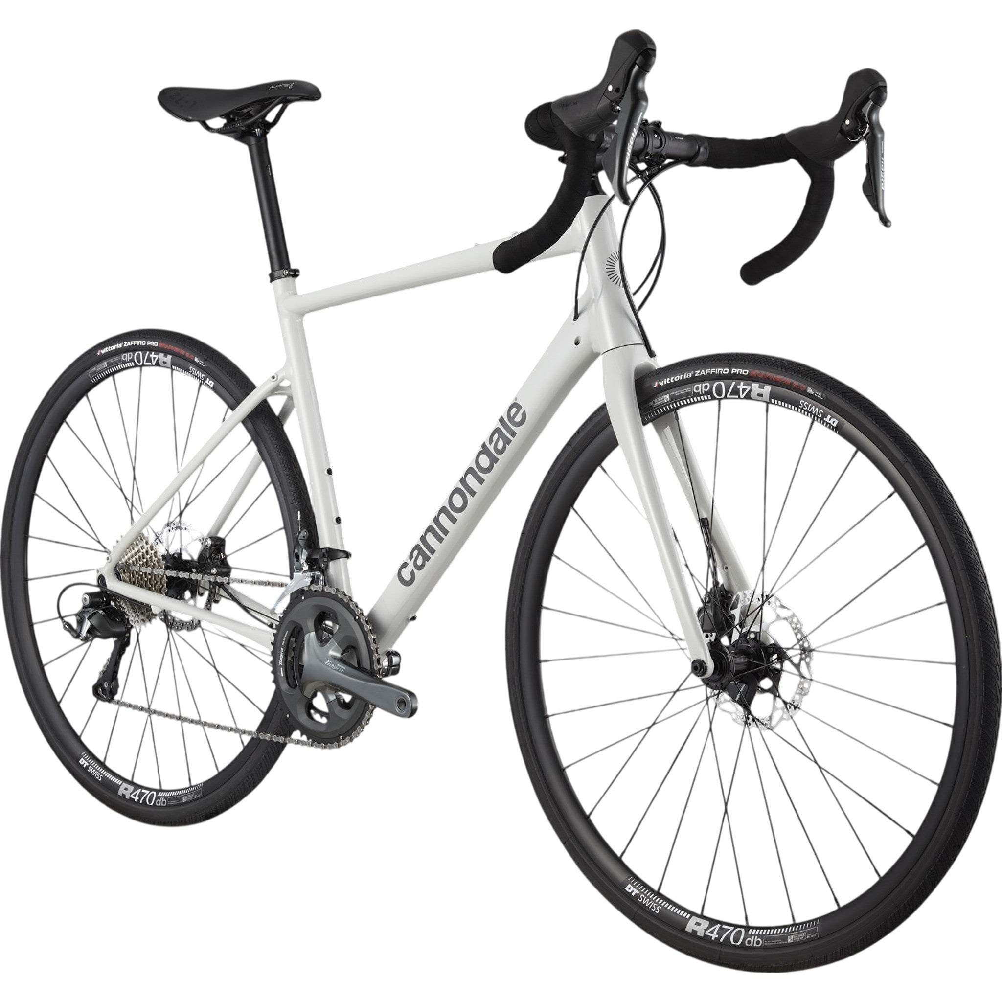 Synapse 2
