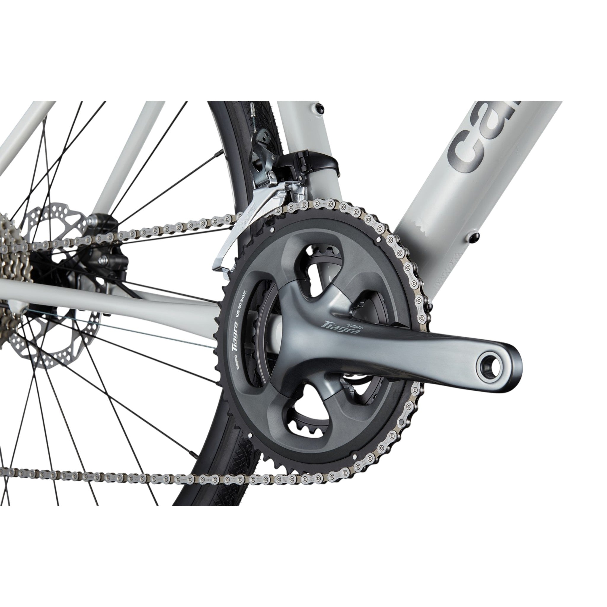 Synapse 2