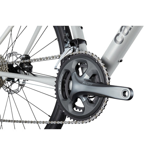 Synapse 2