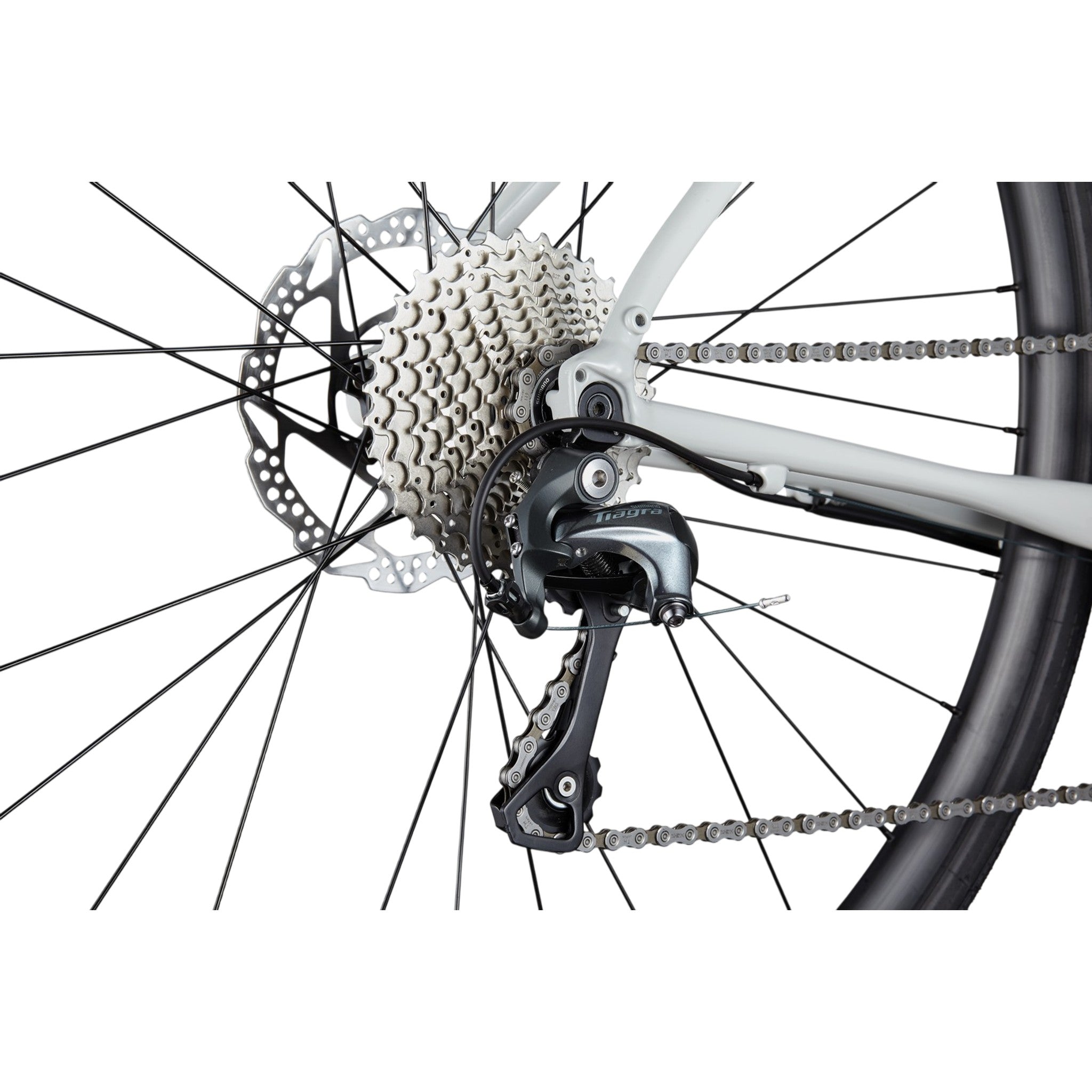 Synapse 2