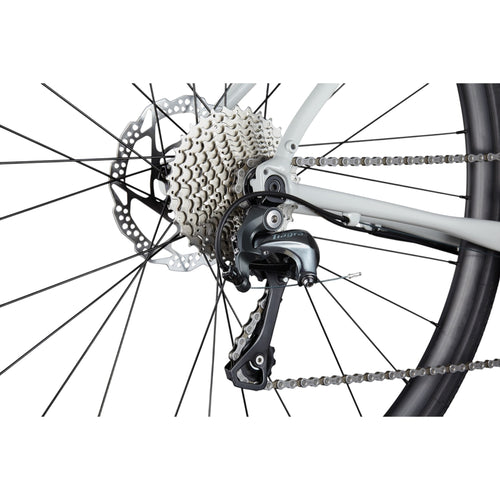 Synapse 2