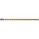XX1 Eagle Chain