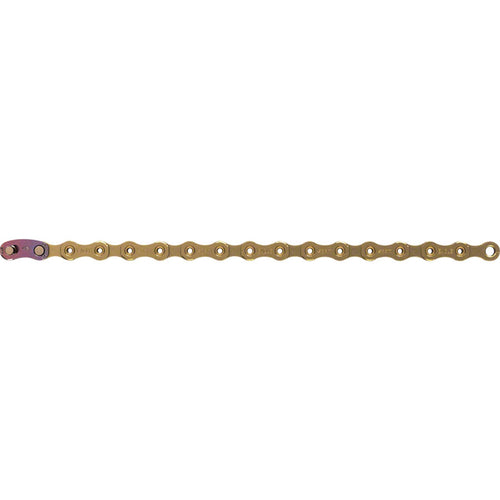 XX1 Eagle Chain