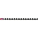 XX1 Eagle Chain