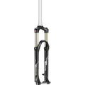 Raidon LO R Suspension Fork - 29", 120mm, Tapered, 15 x 110mm, Disc, Black