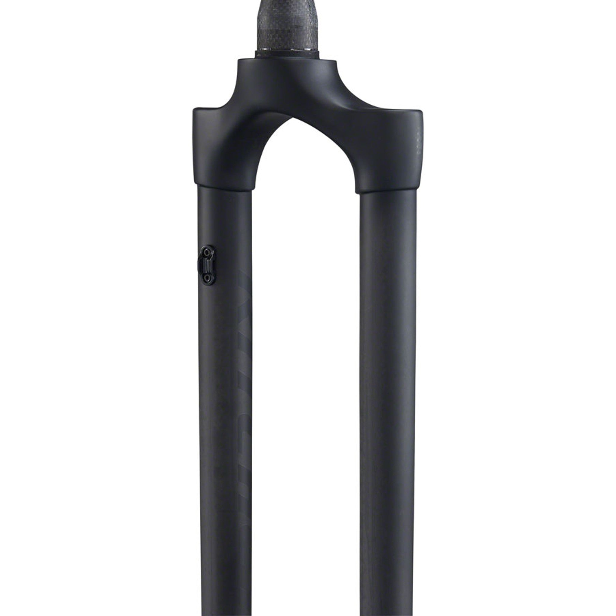 WCS Carbon Fork