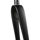 AR Disc Fork - 12 x 100mm Axle, 1-1/4" Tapered Steerer, Flat-Mount Disc, Carbon, Black