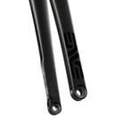 AR Disc Fork - 12 x 100mm Axle, 1-1/4" Tapered Steerer, Flat-Mount Disc, Carbon, Black