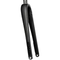 AR Disc Fork - 12 x 100mm Axle, 1-1/4" Tapered Steerer, Flat-Mount Disc, Carbon, Black