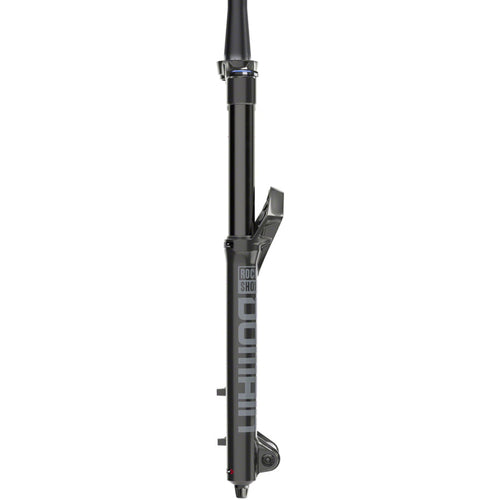 Domain RC Suspension Fork