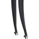 Comp Carbon Fork