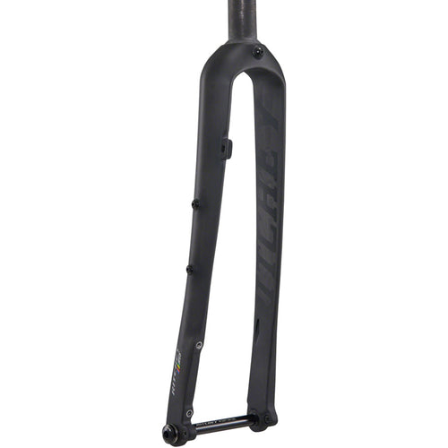 WCS Carbon Brevet Road Fork - 700, 12 x 100mm Thru-Axle, Straight Steerer, Flat Mount, Matte Carbon