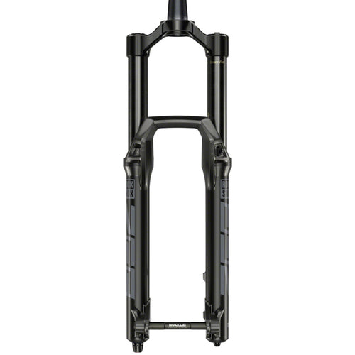 ZEB Suspension Fork