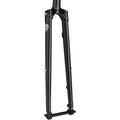 Super Professional Fork - 650b/700c, 1-1/8" Straight Steerer, Thru Axle, Disc, Black