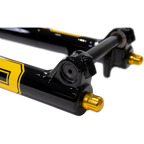 DH38 m.2 Coil Suspension Fork - 29"/27.5", 200mm, 20mmx110mm DH Boost, TTX18 Damper, Coil Sprung, Gloss Black